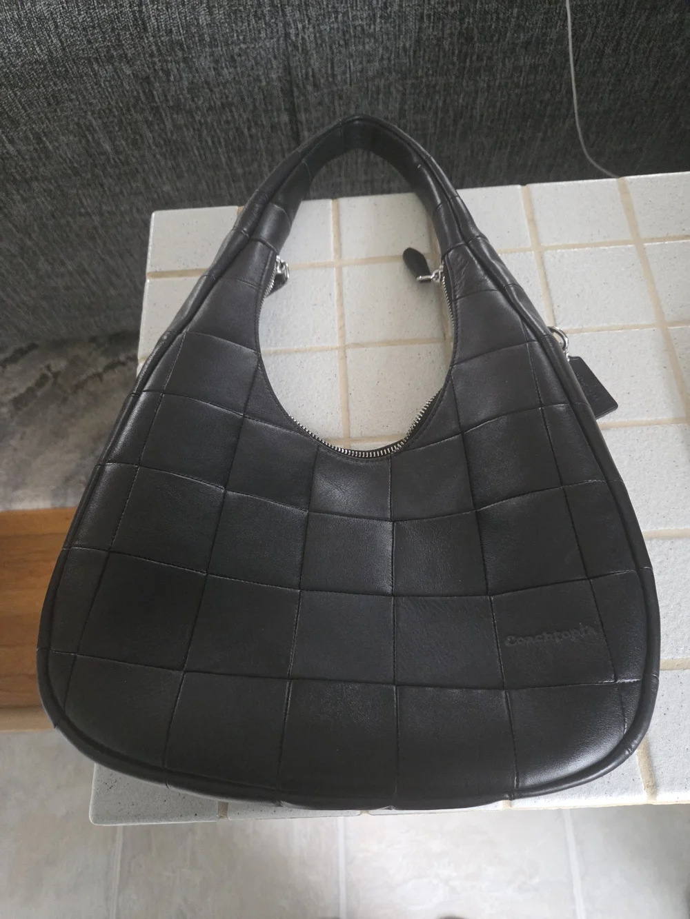Coach Alter Ego Crescent Bag